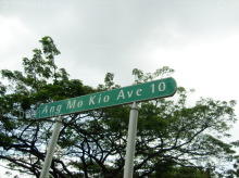 Blk 25 Ang Mo Kio Avenue 10 (S)569733 #92432